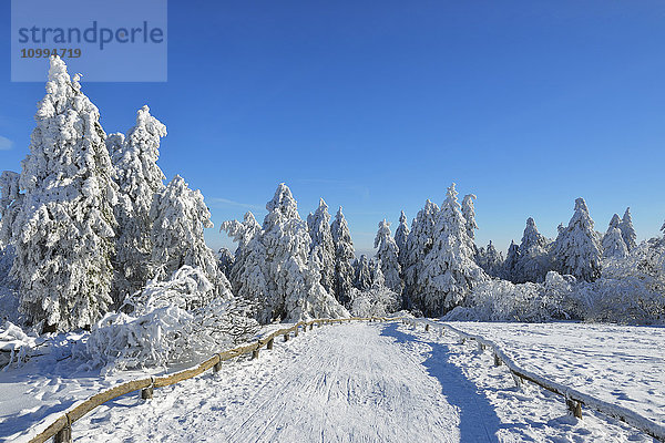 Schneebedeckte Winterlandschaft mit Weg  Großer Feldberg  Frankfurt  Taunus  Hessen  Deutschland