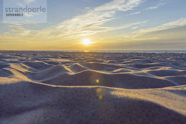 Sandstrand bei Sonnenaufgang  Bunken  Aalbaek-Bucht  Ostsee  Nordjütland  Dänemark