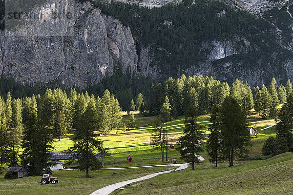 Typische Landschaft der Dolomiten mit grünen Wiesen am Fuße großer Felswände  Gröden  Trentino Südtirol  Italien