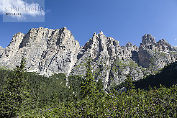 Berge mit Felstürmen  Lastes-Tal  in das Sellamassiv  Dolomiten  Trentino Südtirol  Italien