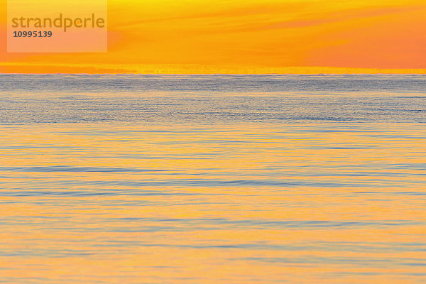 Sonnenuntergang über dem Meer im Sommer  Sjaellands Odde  Odsherred  Ostsee  Seeland  Dänemark