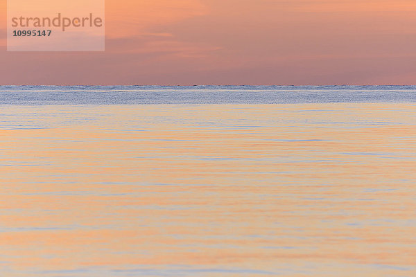 Meer in der Abenddämmerung  Sjeallands Odde  Odsherred  Ostsee  Seeland  Dänemark