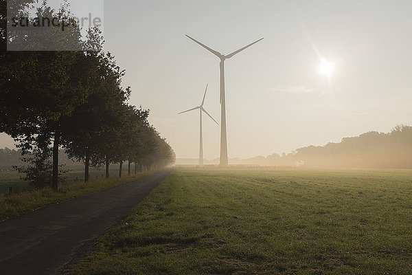 Windturbinen im Morgennebel  Halle Westfalen  Gutersloh  Nordrhein-Westfalen  Deutschland