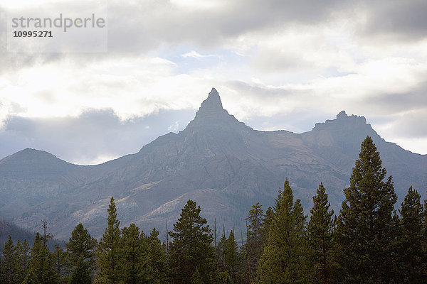 Beartooth Mountains  Wyoming  USA