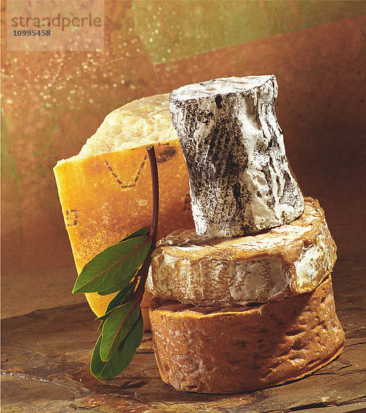 Käsestapel auf Steinplatte mit frischen Lorbeerblättern  Studioaufnahme