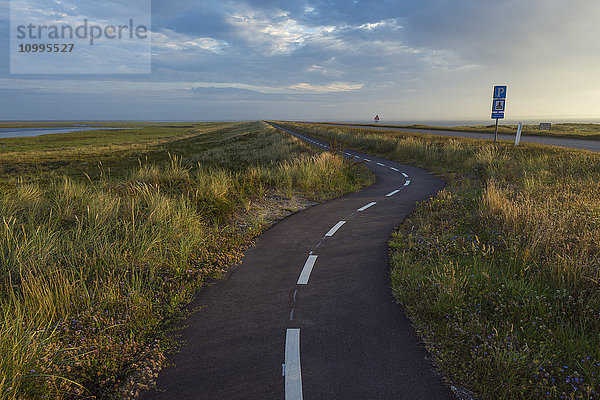 Gewundener Radweg auf der Landzunge am Morgen  Nationalpark Thy  Agger  Nordjütland  Dänemark