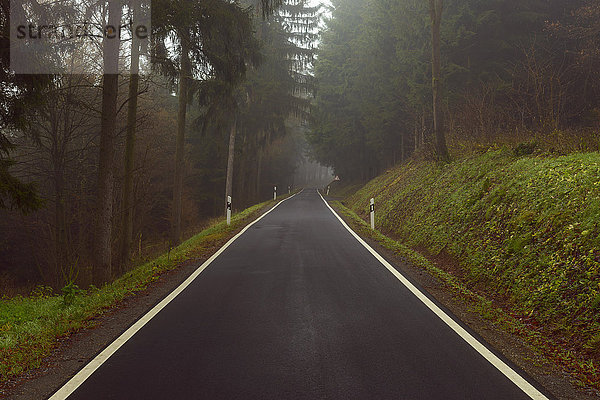 Straße durch den Wald  Kaltenbrunn  Naturpark Neckartal-Odenwald  Baden-Württemberg  Deutschland