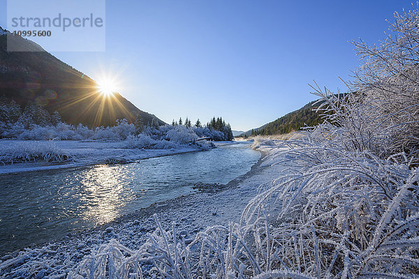 Isar im Winter mit Sonne und Raureif  Isartal  Karwendel  Vorderriss  Oberbayern  Bayern  Deutschland