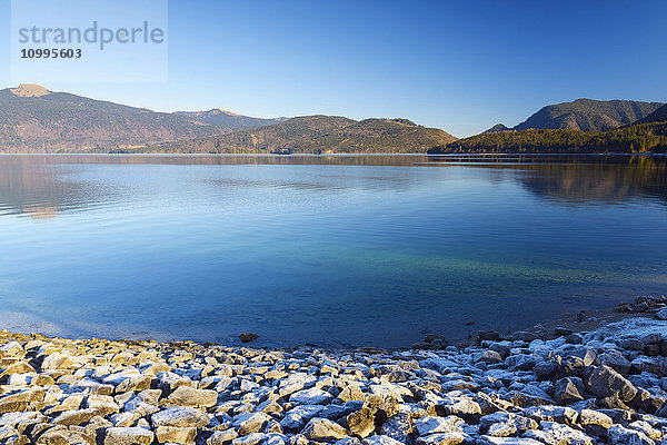 Walchensee mit Raureif am Ufer  Kochel am See  Oberbayern  Bayern  Deutschland