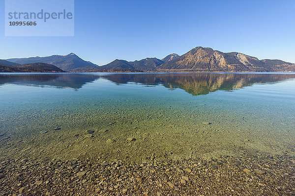 Herzogstand  gespiegelt im Walchensee  Kochel am See  Oberbayern  Bayern  Deutschland