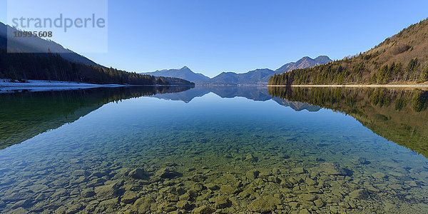 Berglandschaft gespiegelt im Walchensee  Kochel am See  Oberbayern  Bayern  Deutschland