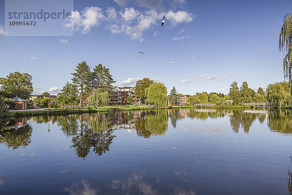 Rosarium Uetersen  Uetersen  Kreis Pinneberg  Schleswig-Holstein  Deutschland  Europa