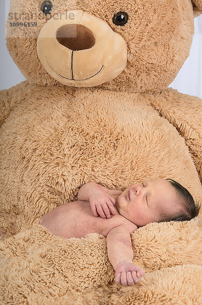 2 Wochen altes Baby schläft auf einem großen Teddybär.