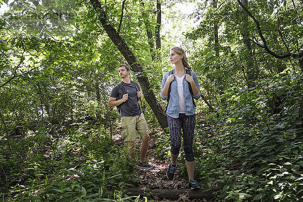 Paar wandert im Wald