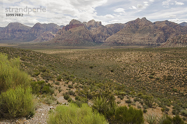 Nevada  Red Rock Canyon  Landschaft mit Felsbergen