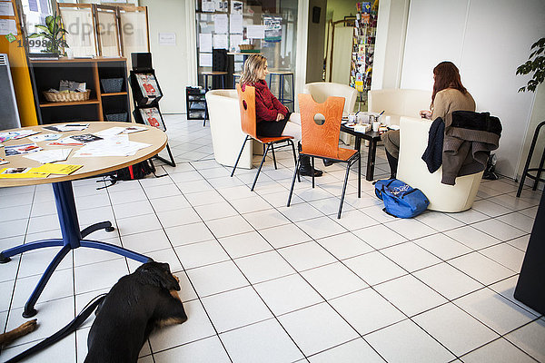 Reportage in Pause Diabolo  einem Zentrum zur Risikominderung für Drogenkonsumenten  in Lyon  Frankreich. Pause Diabolo betrachtet Drogenkonsumenten als Teil einer nationalen französischen Politik zur Reduzierung von Gesundheitsrisiken. Diese multidisziplinäre Hilfe befasst sich mit allen Aspekten des Lebens  die vom Drogenkonsum betroffen sind. Dazu gehören die Bereitstellung von Ausrüstungen zur Risikominderung  die Unterstützung beim Zugang zur Pflege  Hilfe bei der Hygiene  soziale Vermittlung und Hilfe beim Zugang zu Sozialleistungen sowie die soziale und berufliche Wiedereingliederung.