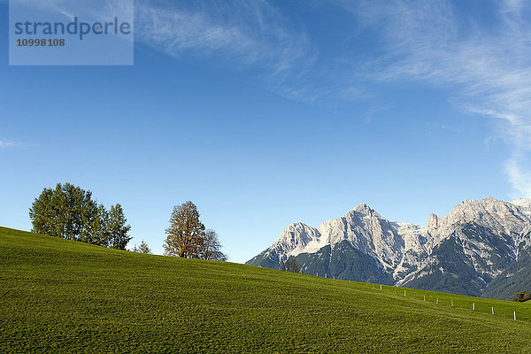 Österreich  Salzburger Land  Maria Alm  Wiese mit Bergen in der Ferne