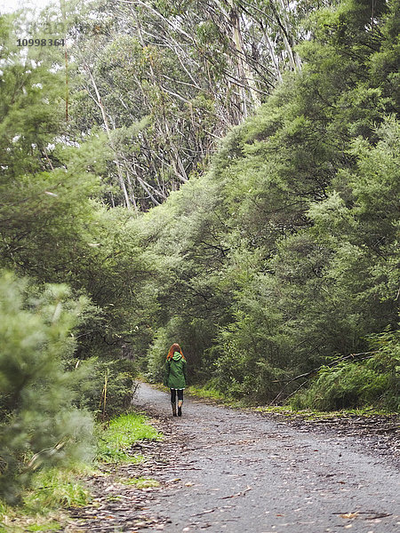 Australien  New South Wales  Katoomba  Rückansicht einer Frau  die eine leere Straße im Wald entlanggeht