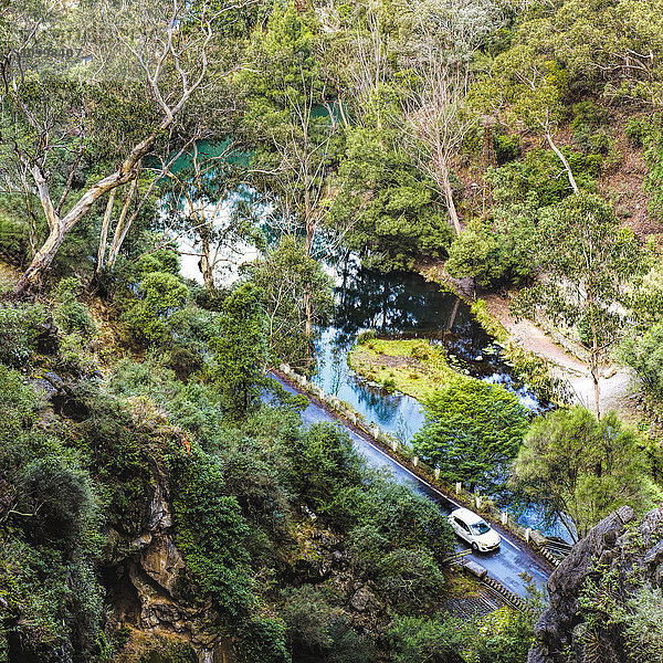 Australien  New South Wales  Jenolan Caves  Blue Lake  Auto auf Straße am Seeufer zwischen bewaldeten Hängen