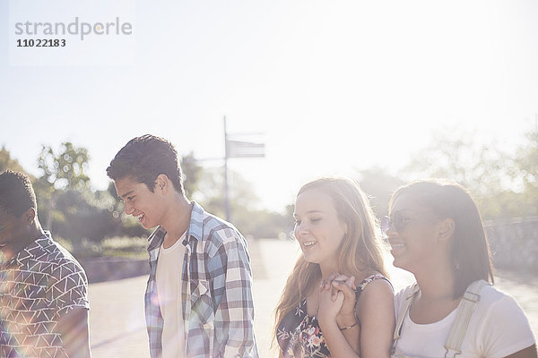 Teenager-Freunde im sonnigen Park