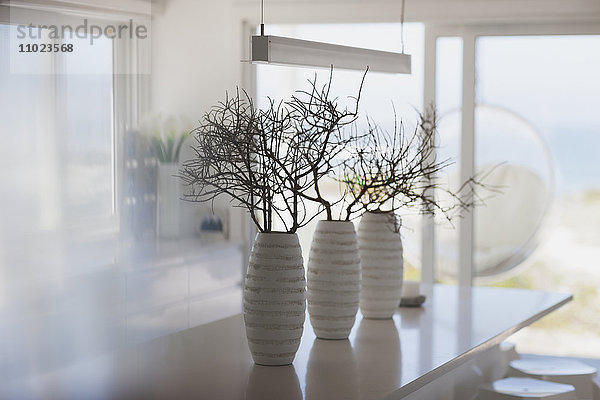 Moderne weiße Vasen mit Zweigen auf der Kücheninsel