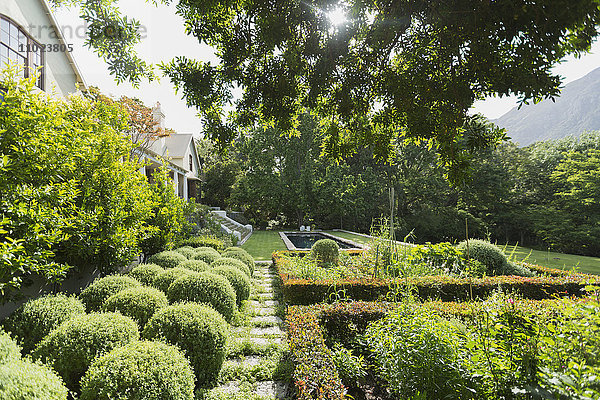 Sonniger  üppig grüner Garten vor dem Luxushaus
