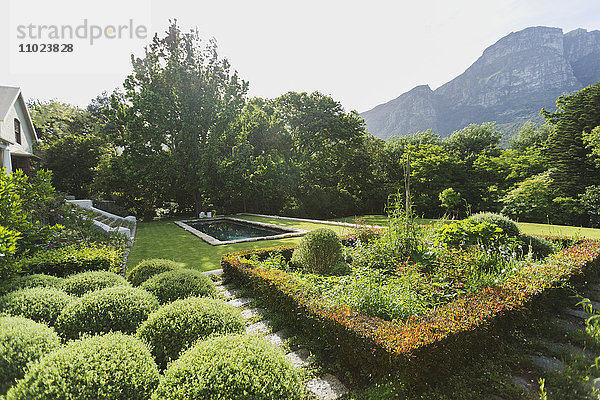 Üppiger sonniger grüner Garten mit Bergblick