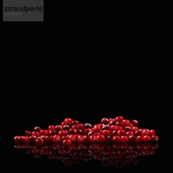 Frische Cranberries