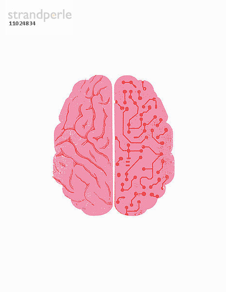 Linkes Gehirn mit Leiterplatte in rechtem Gehirn