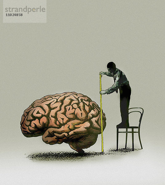 Mann steht auf einem Stuhl und vermisst ein großes Gehirn mit Maßband