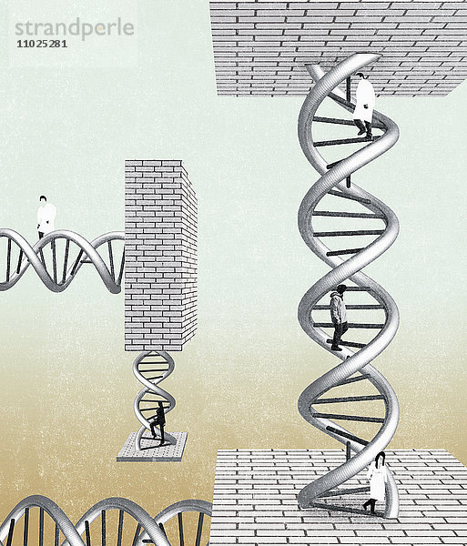 Menschen steigen auf einer DNA-Doppelhelix zwischen Ziegelwänden