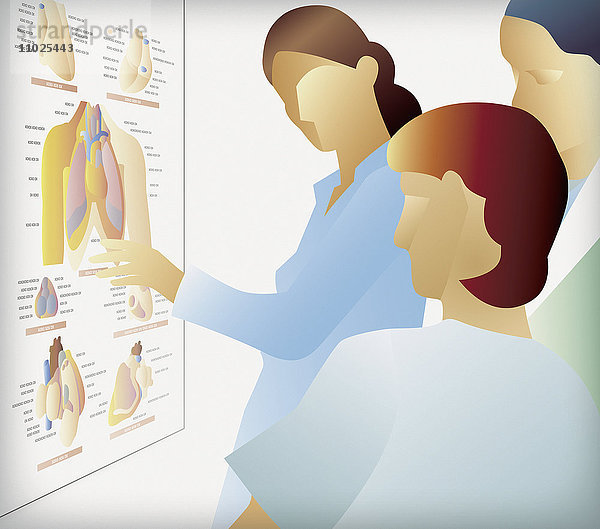 Ärztin erklärt einem Paar Brustproblem an Wanddiagramm