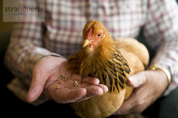 Tiergestützte Intervention mit Huhn im Seniorenheim