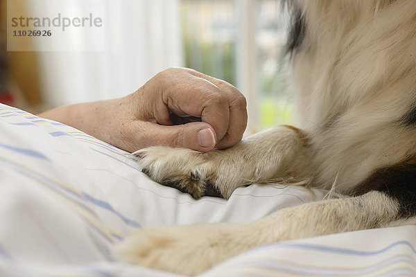 Tiergestützte Therapie im Seniorenheim