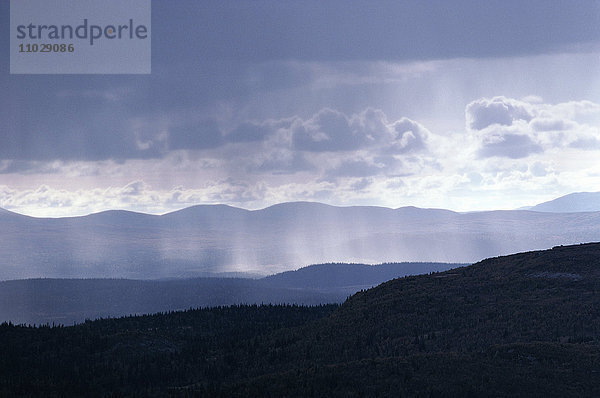 Regenschauer über Wald und Bergen.