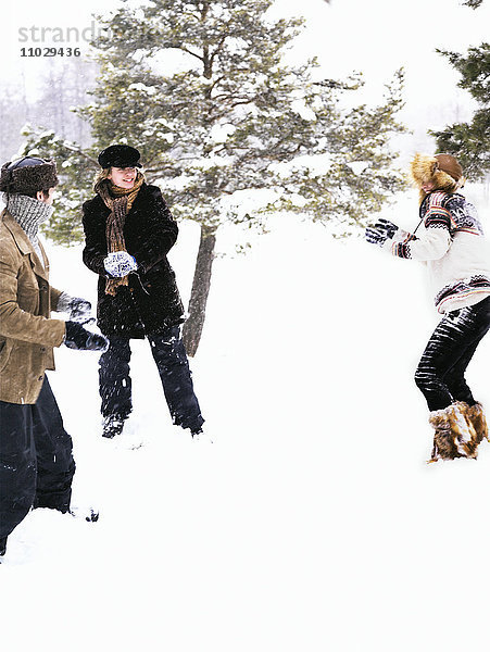 Drei Personen bei einer Schneeballschlacht.