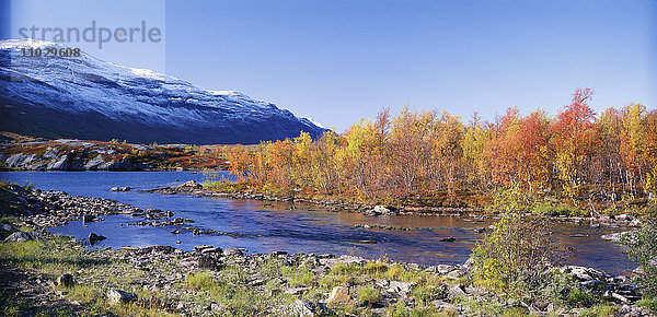 Immergrüner Wald in der Nähe von Fluss und Berg