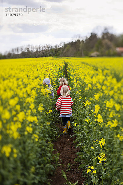 Kinder laufen durch ein Rapsfeld