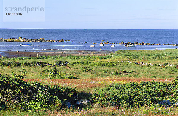 Wiese am Meer.