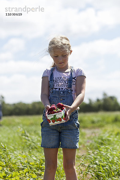 Mädchen pflückt Erdbeeren