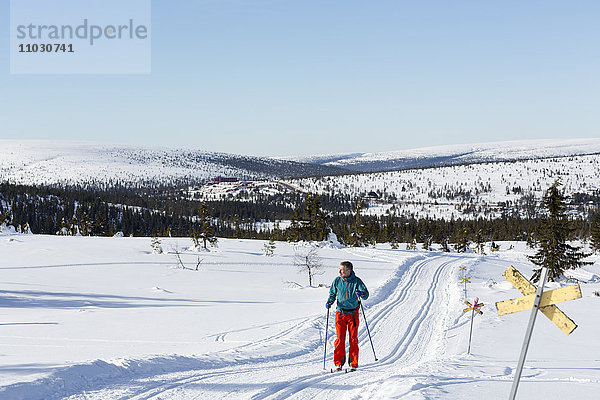 Mann beim Skifahren  Dalarna  Schweden