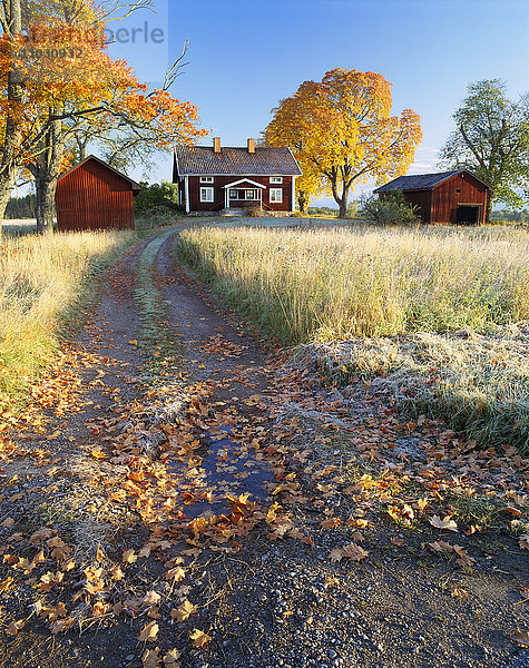 Eine rote Hütte im Herbst  Narke  Schweden.