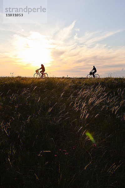Ein Paar fährt bei Sonnenuntergang Fahrrad