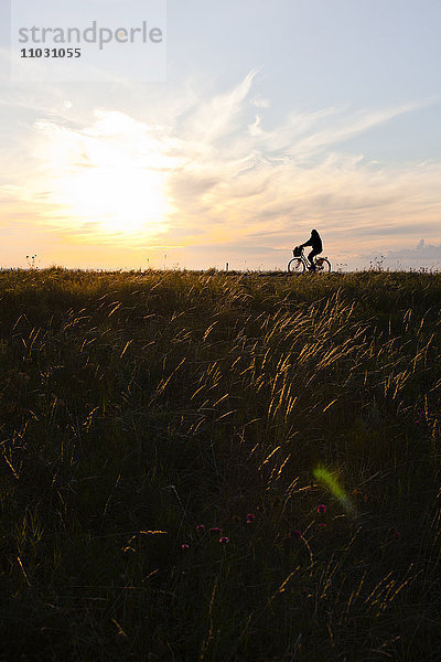 Ein Mann fährt bei Sonnenuntergang Fahrrad