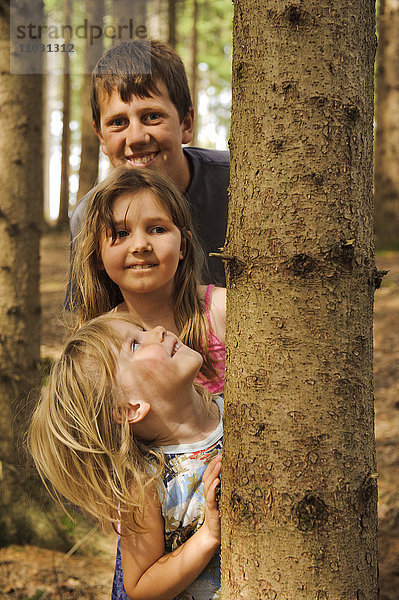 Zwei Mädchen und ein Jugendlicher spielen hinter einem Baum