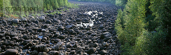Ein ausgetrockneter Fluss  Angermanland  Schweden.