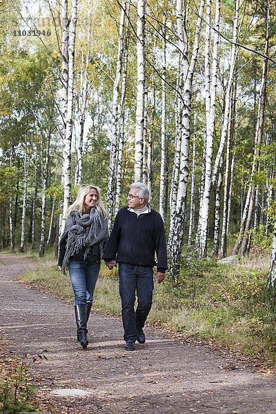 Älteres Paar geht durch den Wald  Delsjon  Göteborg  Schweden