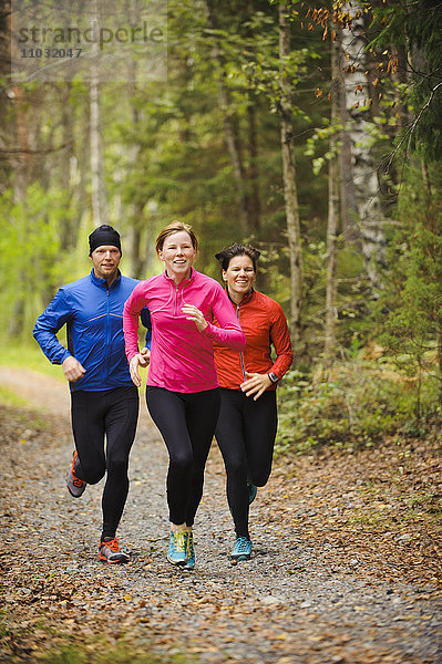 Drei Sportler joggen durch den Wald