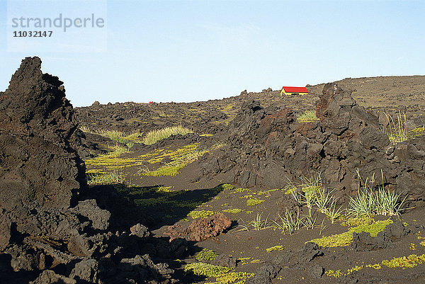 Hütte auf einem Lavafeld auf Island.