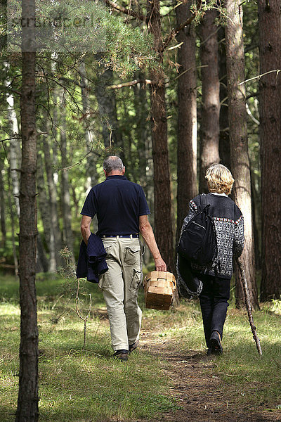 Zwei Senioren gehen im Wald spazieren.